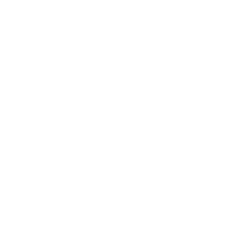 Opinion Leaders